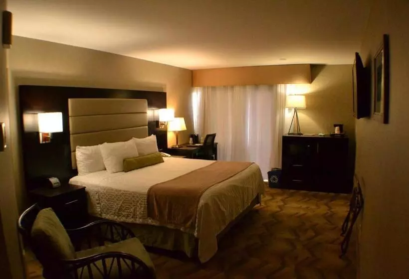 身障者適用キングサイズベッドルーム, Best Western Plus Silverdale Beach