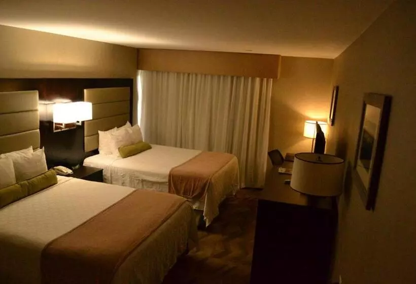 身障者適用スタンダードルーム, Best Western Plus Silverdale Beach