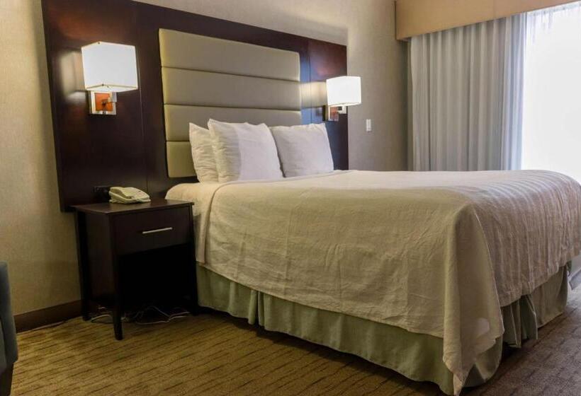 غرفة قياسية مطلة على المدينة, Best Western Plus Silverdale Beach