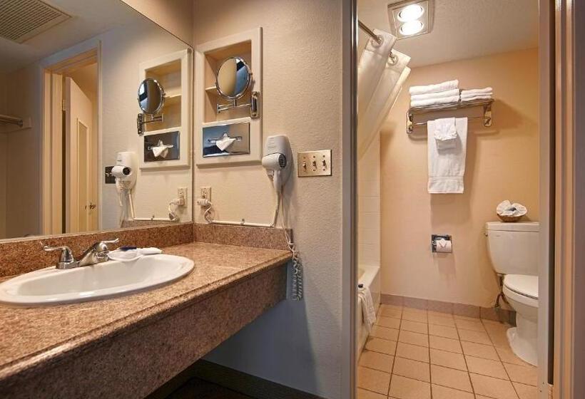 غرفة قياسية سرير كينج, Best Western Westminster Inn