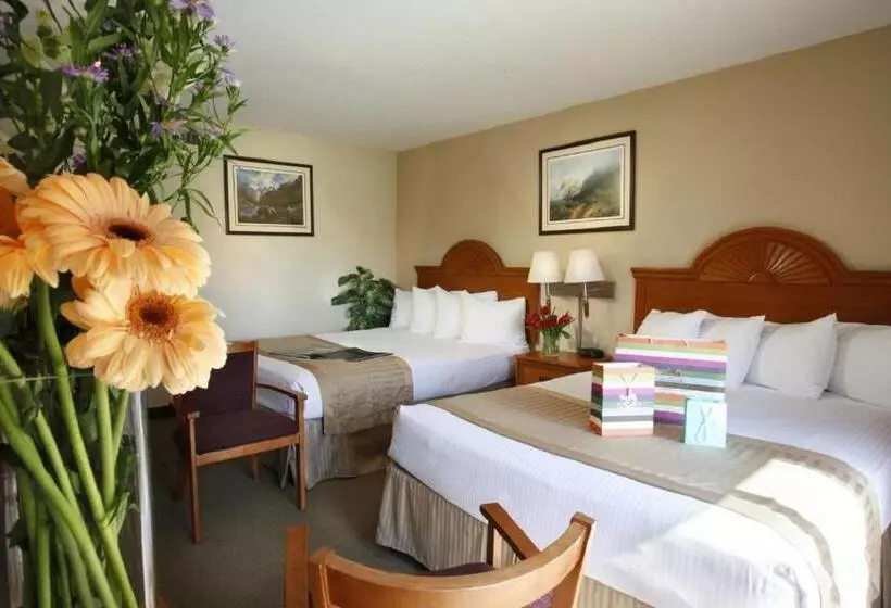 اتاق استاندارد برای معلولان, Best Western Westminster Inn