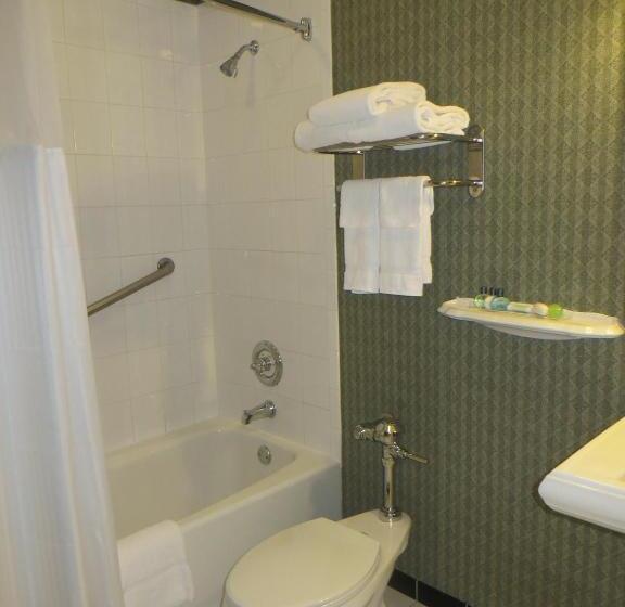 اتاق استاندارد با 2 تخت دوبل, Carleton Of Oak Park