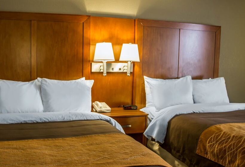 스탠다드 룸 더블 침대 2개, Comfort Inn