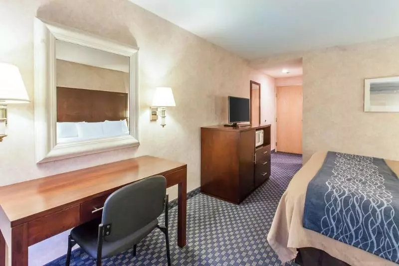 اتاق استاندارد با تخت بزرگ, Comfort Inn & Suites Sea Tac Airport