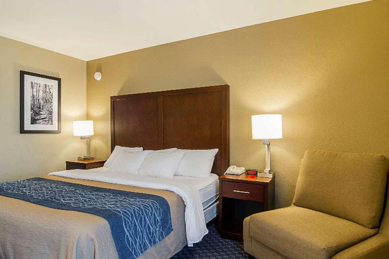 带大床的标准间, Comfort Inn & Suites Sea Tac Airport
