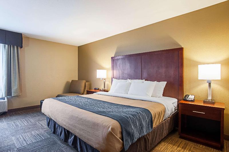 キングサイズベッドのスタンダードルーム, Comfort Inn & Suites Sea Tac Airport