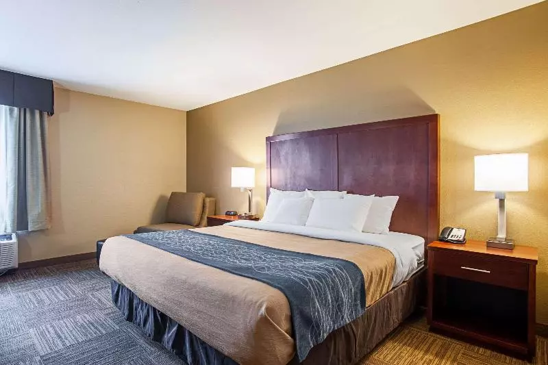 اتاق استاندارد با تخت بزرگ, Comfort Inn & Suites Sea Tac Airport