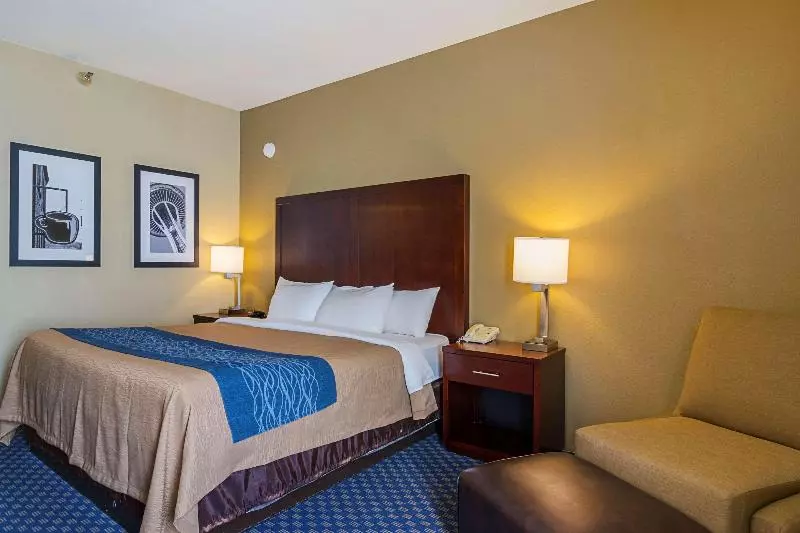 اتاق استاندارد با تخت بزرگ, Comfort Inn & Suites Sea Tac Airport