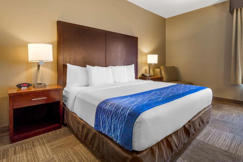 キングサイズベッドのスタンダードルーム, Comfort Inn & Suites Sea Tac Airport