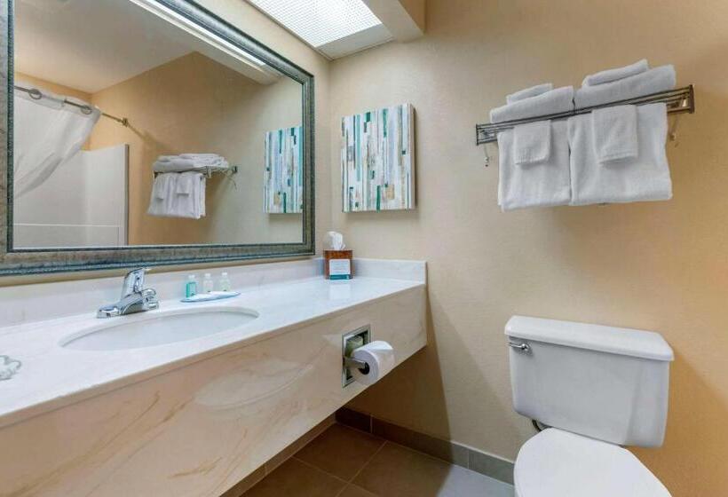 带大床的标准间, Quality Inn St Cloud West