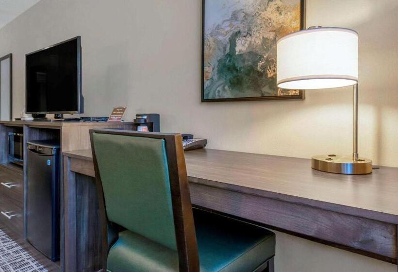 适合残疾人士使用的带超级大床的标准间, Quality Inn St Cloud West