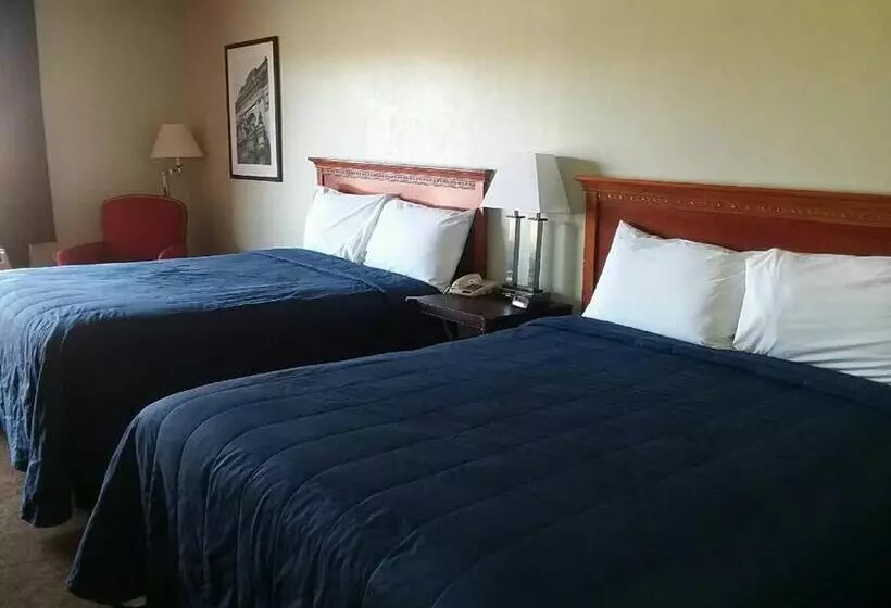 スタンダードルーム, Springfield Inn Tn