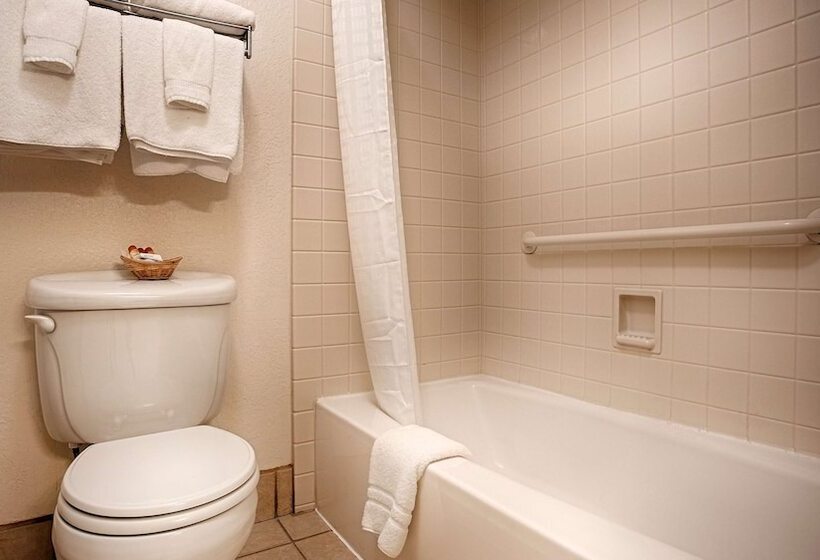 غرفة قياسية لذوى الاحتياجات الخاصة, Best Western Sandman