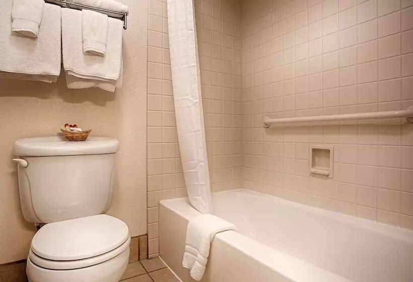 اتاق استاندارد برای معلولان, Best Western Sandman