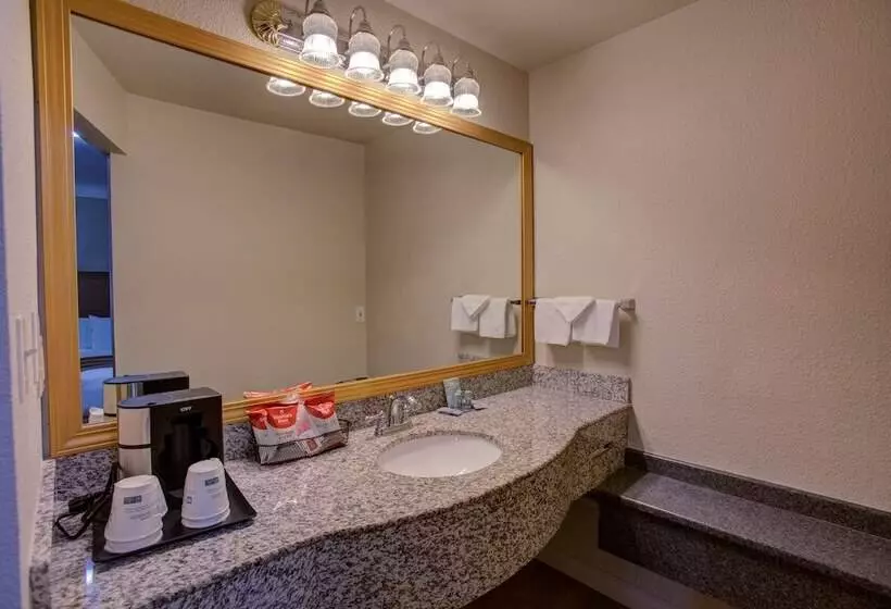 اتاق استاندارد برای معلولان, Best Western Sandman