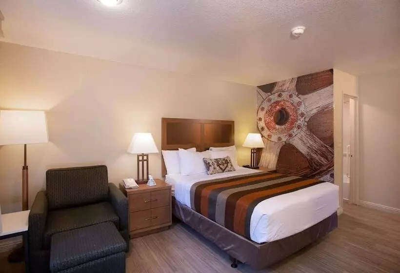 اتاق استاندارد با تخت دوبل, Best Western Sandman