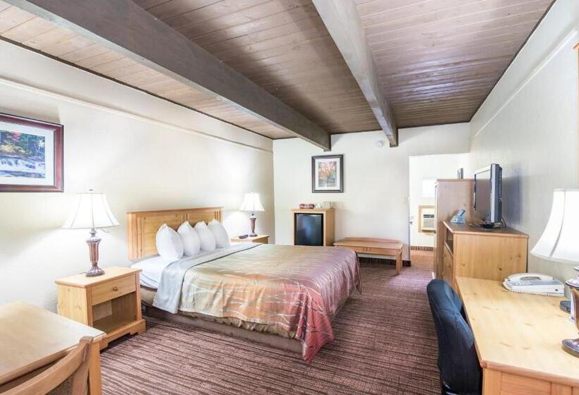 اتاق استاندارد یک نفره, Teton West Motel