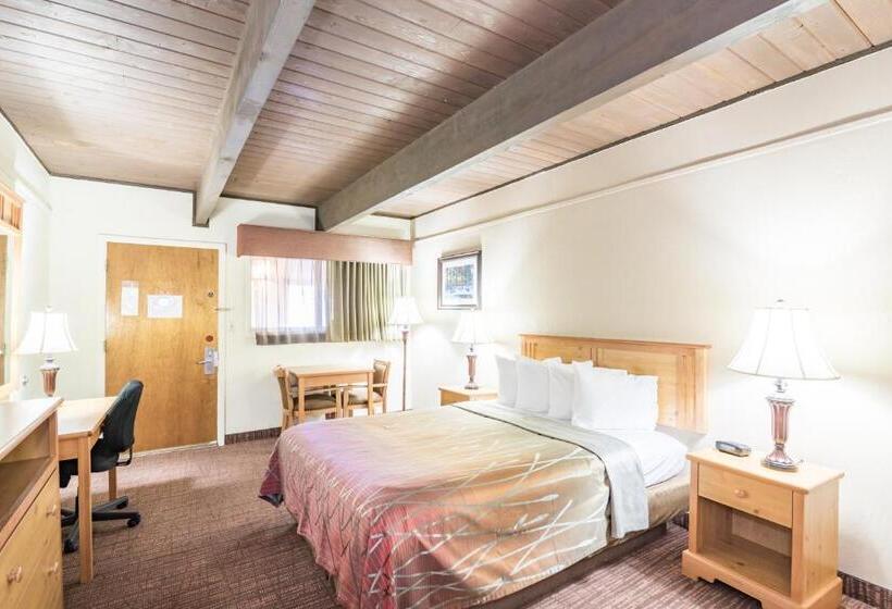 スタンダードシングルルーム, Teton West Motel