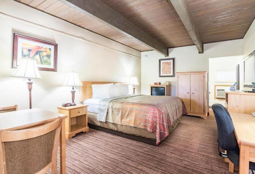 اتاق استاندارد یک نفره, Teton West Motel