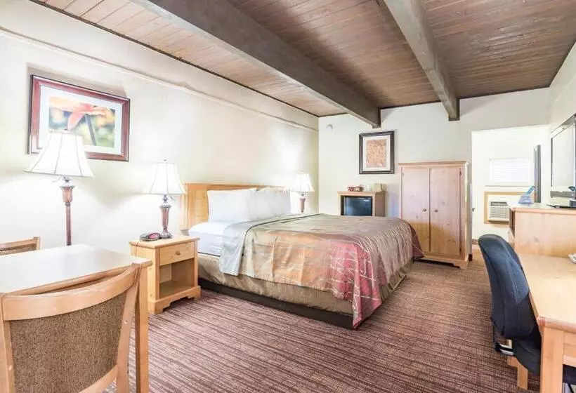 اتاق استاندارد یک نفره, Teton West Motel
