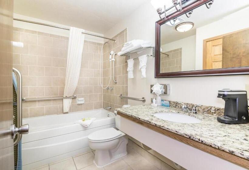 اتاق استاندارد یک تخته برای معلولان, Teton West Motel