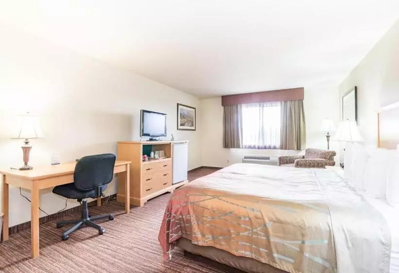 اتاق استاندارد یک تخته برای معلولان, Teton West Motel