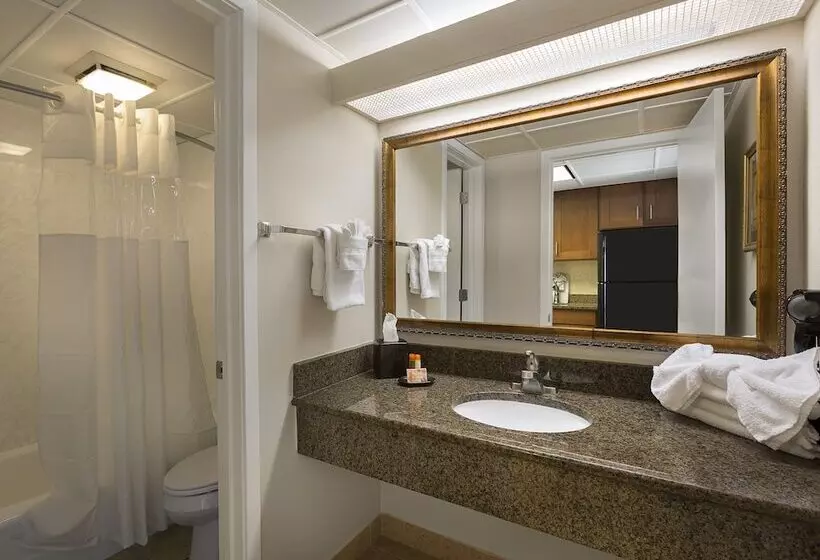 اتاق استاندارد با 2 تخت دوبل, Coral Beach Resort
