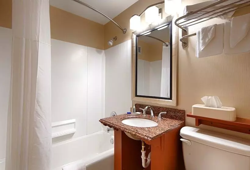 ２ダブルベッドのスタンダードルーム, Best Western Inn At The Rochester Airport