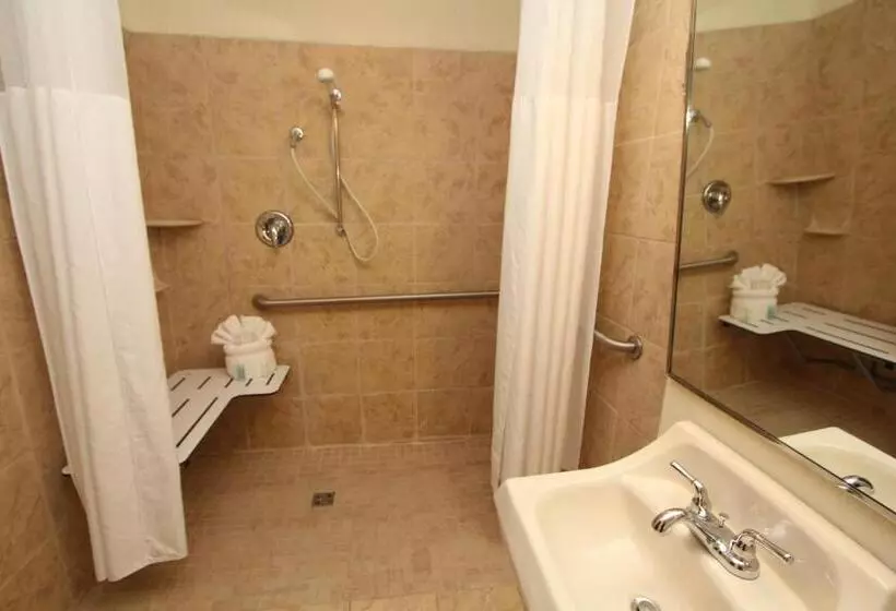 身障者適用スイートルーム, Black Bear Inn & Suites