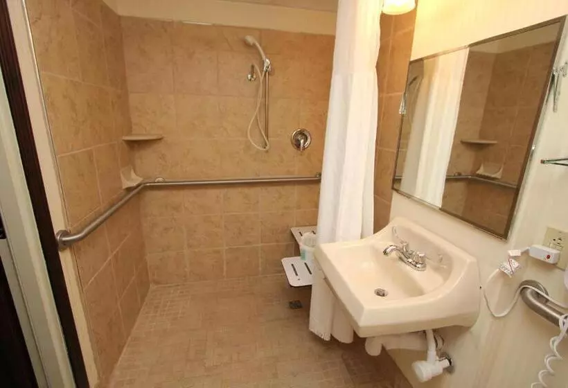身障者適用スイートルーム, Black Bear Inn & Suites