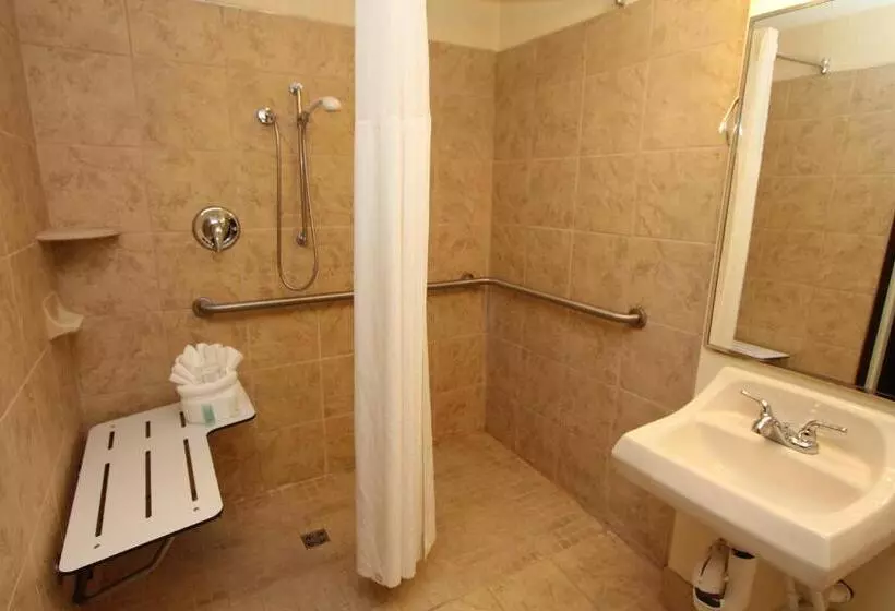 身障者適用スタンダードルーム, Black Bear Inn & Suites