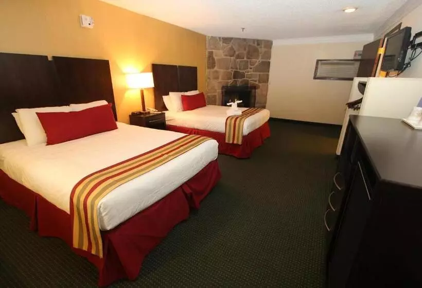 身障者適用スタンダードルーム, Black Bear Inn & Suites