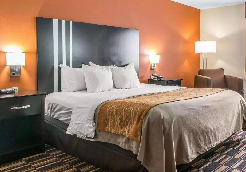 キングサイズベッドのスタンダードルーム, Comfort Inn Maumee  Perrysburg Area