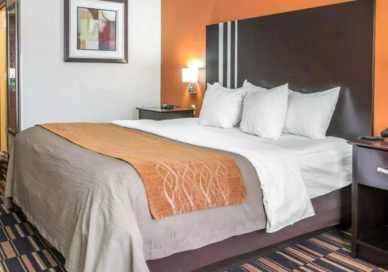 キングサイズベッドのスタンダードルーム, Comfort Inn Maumee  Perrysburg Area