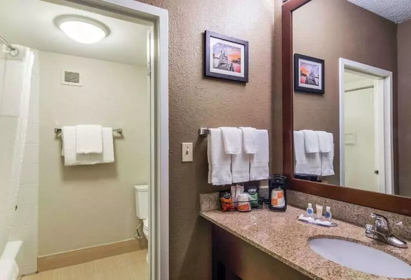 キングサイズベッドのスタンダードルーム, Comfort Inn Roswelldunwoody