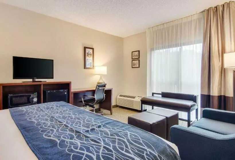 キングサイズベッドのスタンダードルーム, Comfort Inn Roswelldunwoody