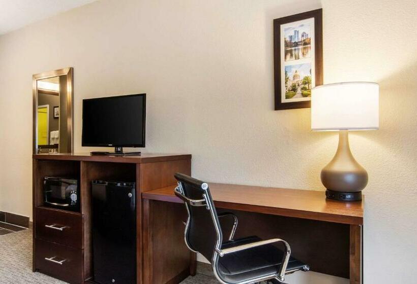 스탠다드 룸 킹사이즈 침대, Comfort Inn Roswelldunwoody