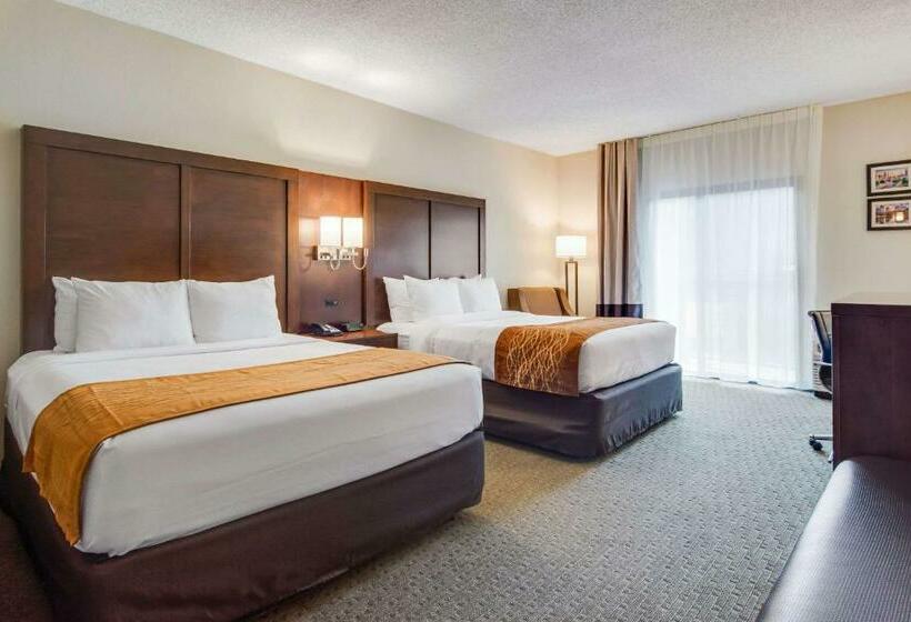 غرفة قياسية, Comfort Inn Roswelldunwoody