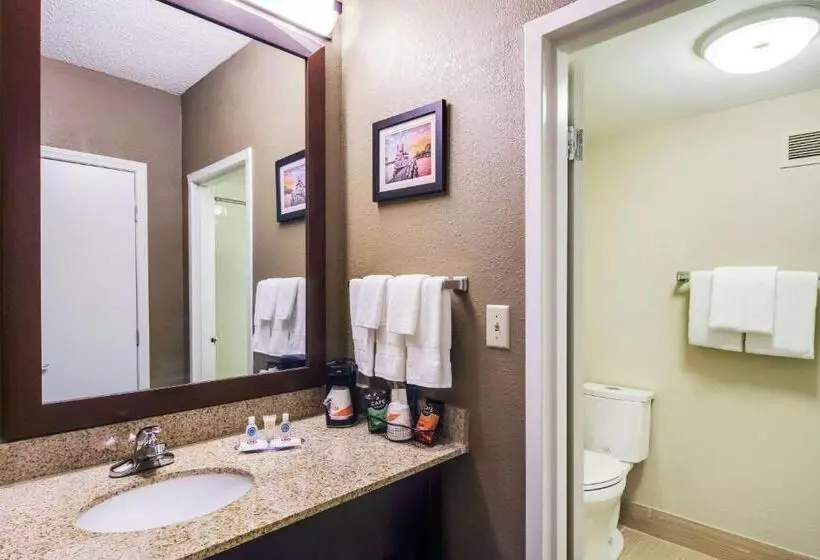スタンダードルーム, Comfort Inn Roswelldunwoody