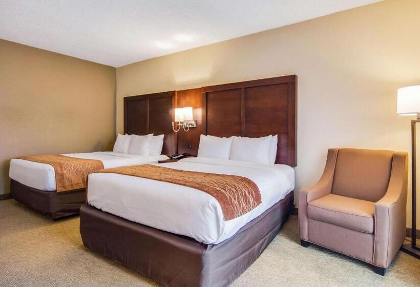غرفة قياسية, Comfort Inn Roswelldunwoody