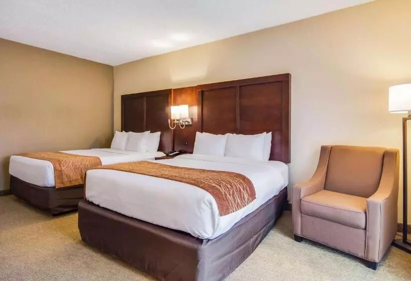 スタンダードルーム, Comfort Inn Roswelldunwoody
