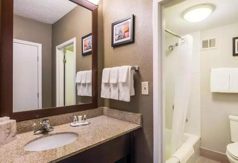 スイート, Comfort Inn Roswelldunwoody