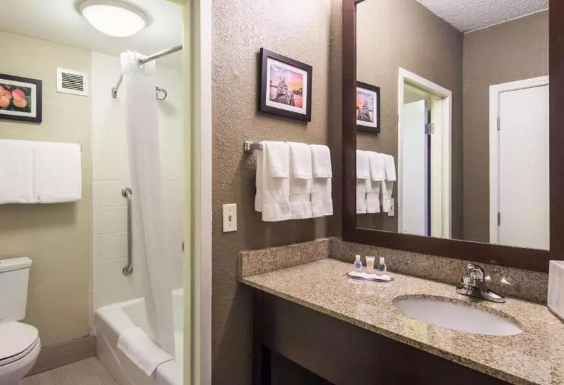 キングサイズベッドのスタンダードルーム, Comfort Inn Roswelldunwoody