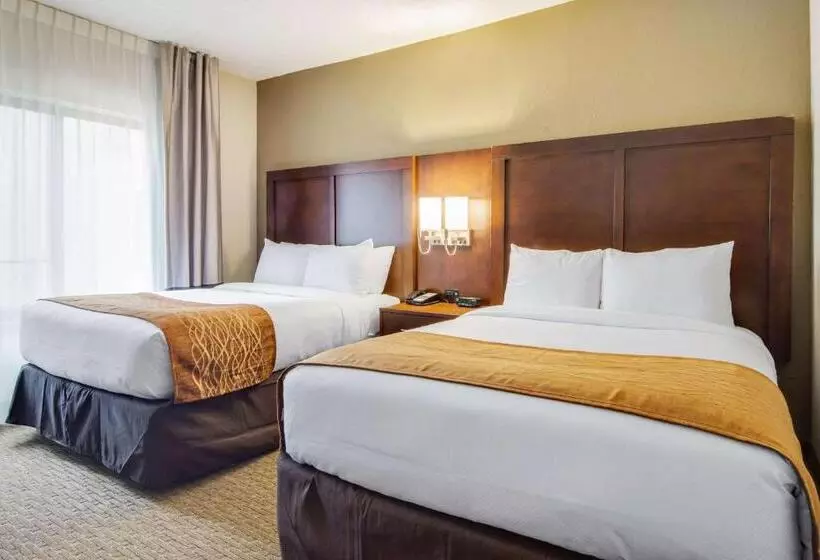 身障者適用スタンダードルーム, Comfort Inn Roswelldunwoody
