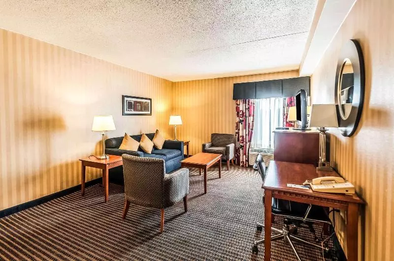 سوئیت با تخت بزرگ, Comfort Inn & Suites Alexandria West
