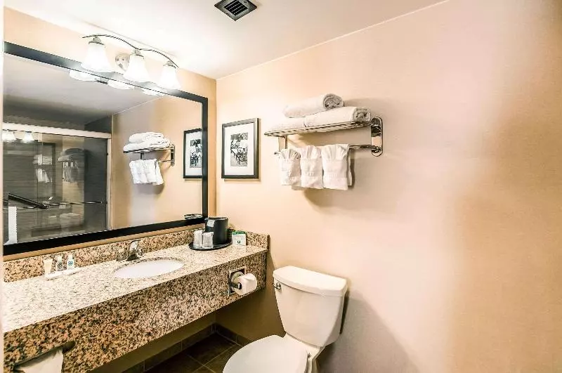 سوئیت با تخت بزرگ, Comfort Inn & Suites Alexandria West