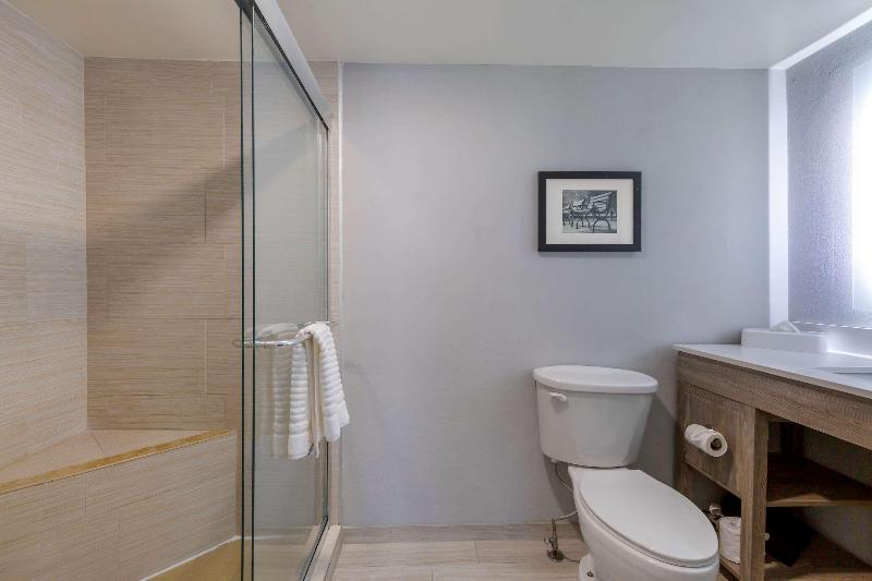 스위트 킹사이즈 침대, Comfort Inn & Suites Alexandria West