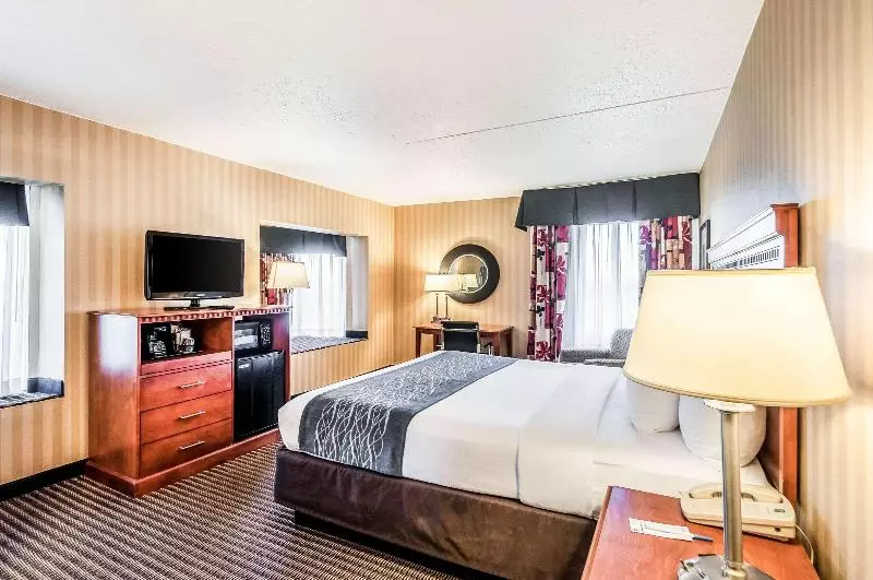اتاق استاندارد با تخت بزرگ, Comfort Inn & Suites Alexandria West