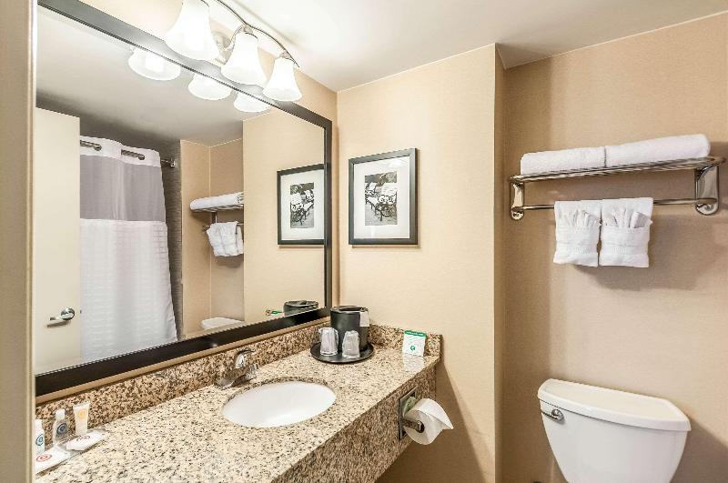 스탠다드 룸 킹사이즈 침대, Comfort Inn & Suites Alexandria West
