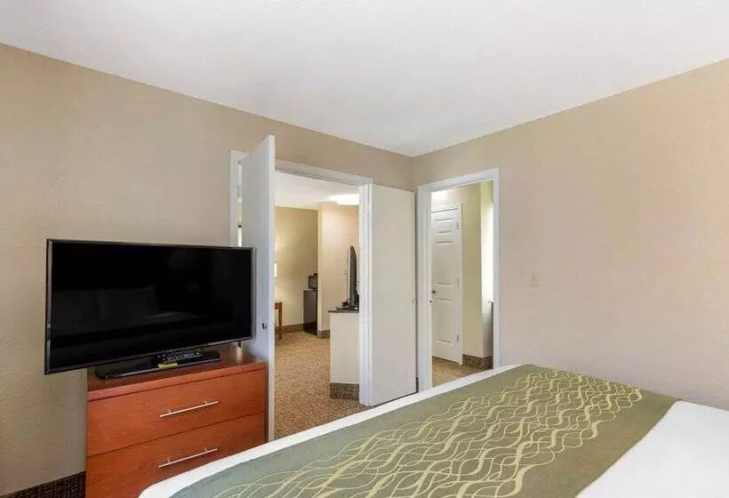スイート, Comfort Inn & Suites  Near Robins Air Force Base Main Gate